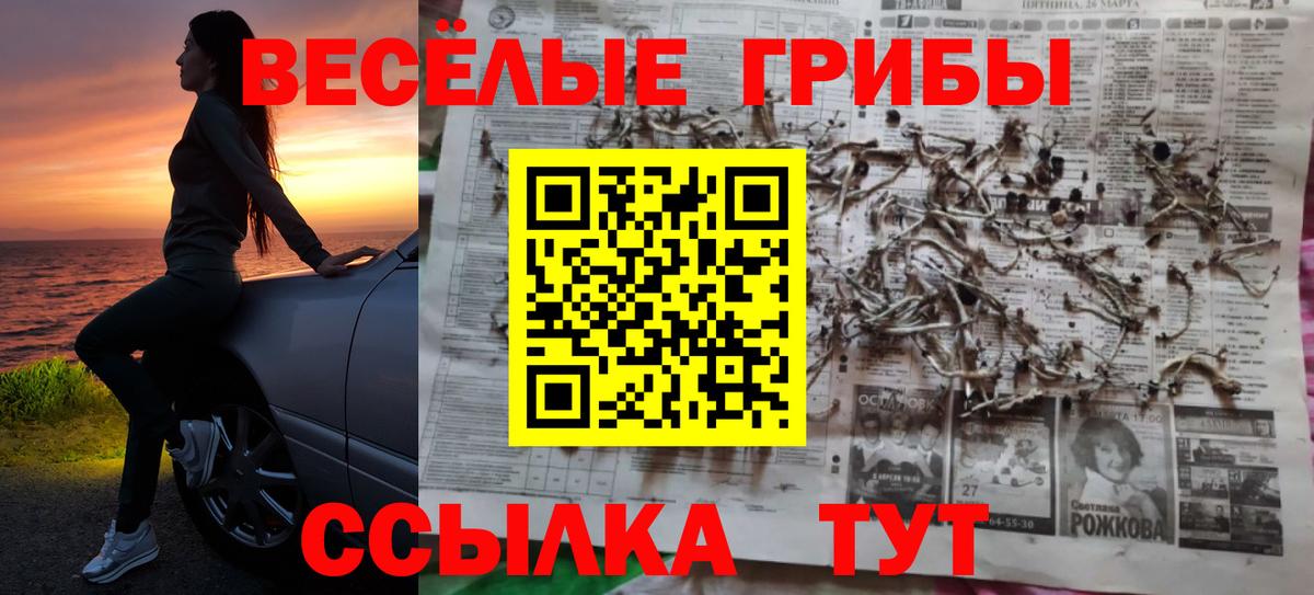 Галлюциногенные грибы Psilocybe  Вход с VPN  цены наркотик  Сафоново 